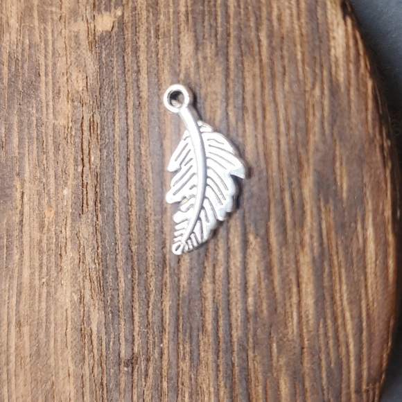 P133 - Picture 1 of 2